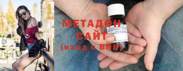 индика Арсеньев