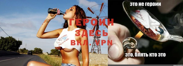 индика Арсеньев