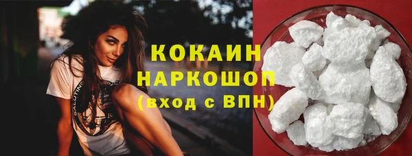 индика Арсеньев