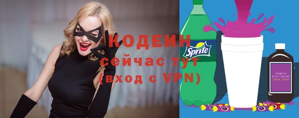 индика Арсеньев