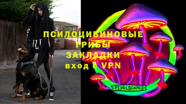 индика Арсеньев