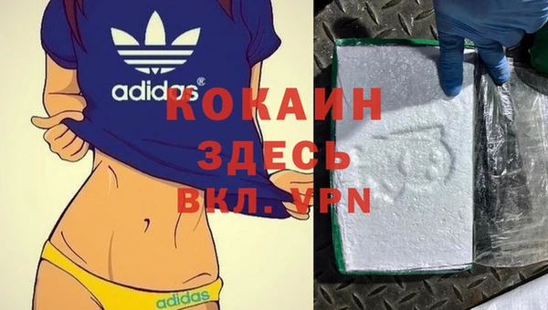 индика Арсеньев