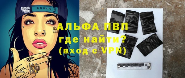 индика Арсеньев