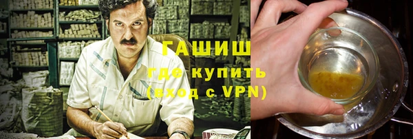 индика Арсеньев