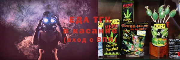 индика Арсеньев