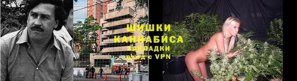 гидра Рославль