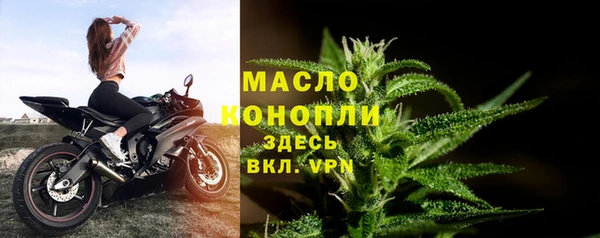 индика Арсеньев