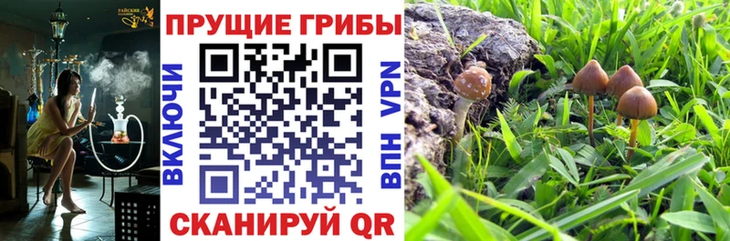 Галлюциногенные грибы мухоморы  Багратионовск 